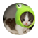 itaylor