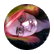 ivamp