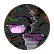 jakeob06
