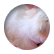 jamie602