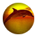 jaybird11