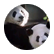 jenniferdual