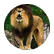 jerry456