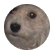 jesfa