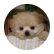 jessiep4