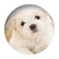 jessiestory