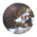 jromo6