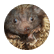 julw