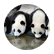 kab2000