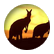 kangarooluv