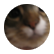 kat20985