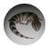 kcruz