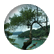 kelaoshi