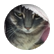 kitkat3