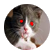 kitton4eva