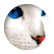 kitty314