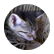 kitty57