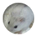 kittycat1228