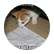 kittycat28