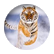 kittycat7