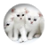 kittykat202