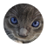 kittyperson_9