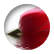 klutzyme