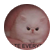koolk