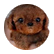 kutiep8