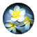 laurellu