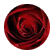 ldavi5