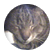 ldoge