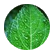 leaf_writer