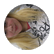 leanndra12