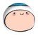 leotilleli