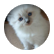 libbyc00