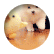 lilydp5