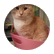 lilypnd