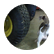 littledog1218