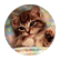 littleglitter