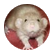 lizzieabc
