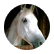 lydialucero