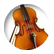maldonadoja