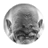 mcmtrevor