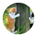 meatballkitty