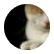 missK
