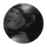 molliekenney