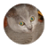 monkeyluver