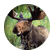 moosemonkey101