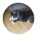 mrslamothe